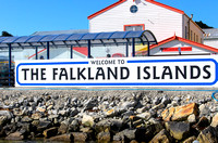 The Falkland Islands