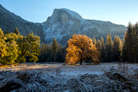 Half Dome-2