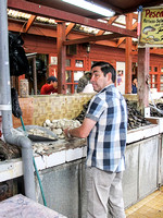 Puerto Montt, Chile- Fish Market