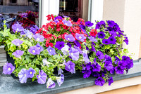 Window box