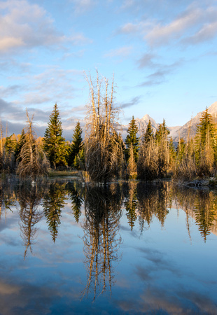 Jackson Hole, Wyoming