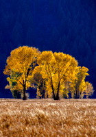 Jackson Hole, Wyoming