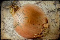 Onion- 2nd Place in Proofs, Murray Art Guild 2013
